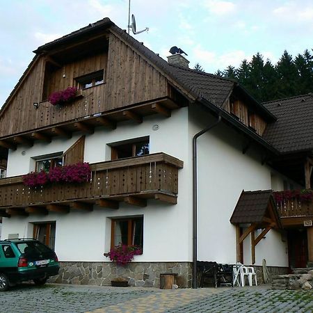Apartmany U Vacu Železná Ruda Exteriör bild