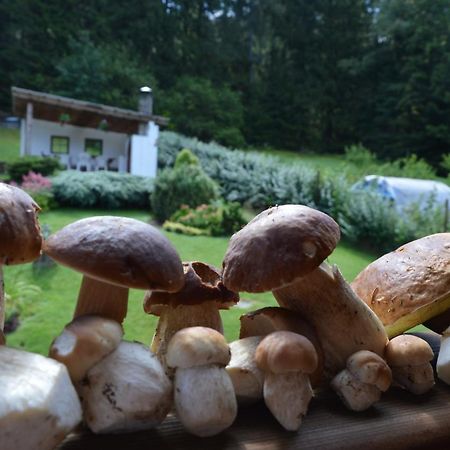 Apartmany U Vacu Železná Ruda Exteriör bild